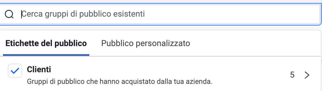 Nel mio account: tra le etichette del pubblico è selezionata Clienti, gruppi di pubblico che hanno acquistato dalla tua azienda, con cinque pubblici